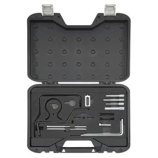 Engine Timing & Rebuild Set PSA/Fiat DW10/DW12 2.0/2.2