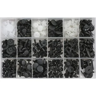 Trim clip assortment for Ford 415-pcs.
