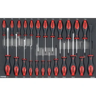 Screwdriver set SFS-M 24-pcs.